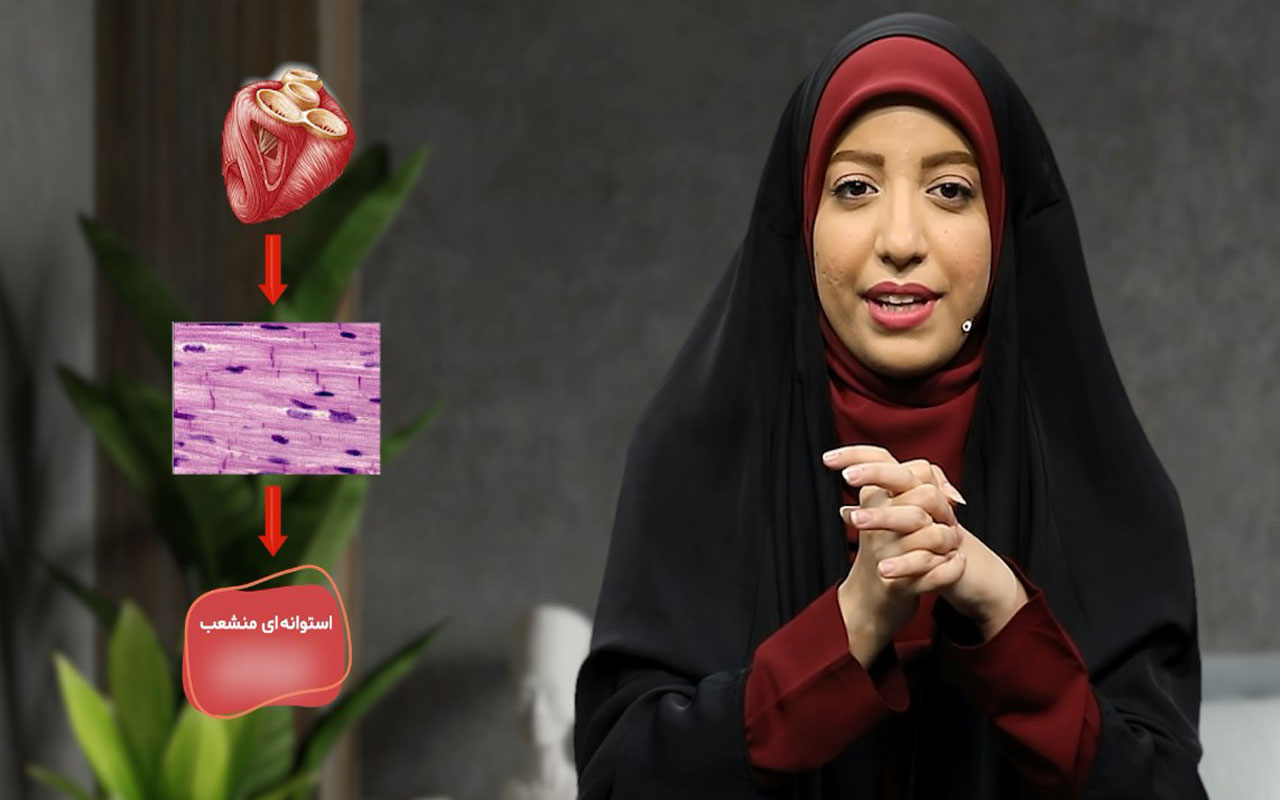 حرکت (ماهیچه)