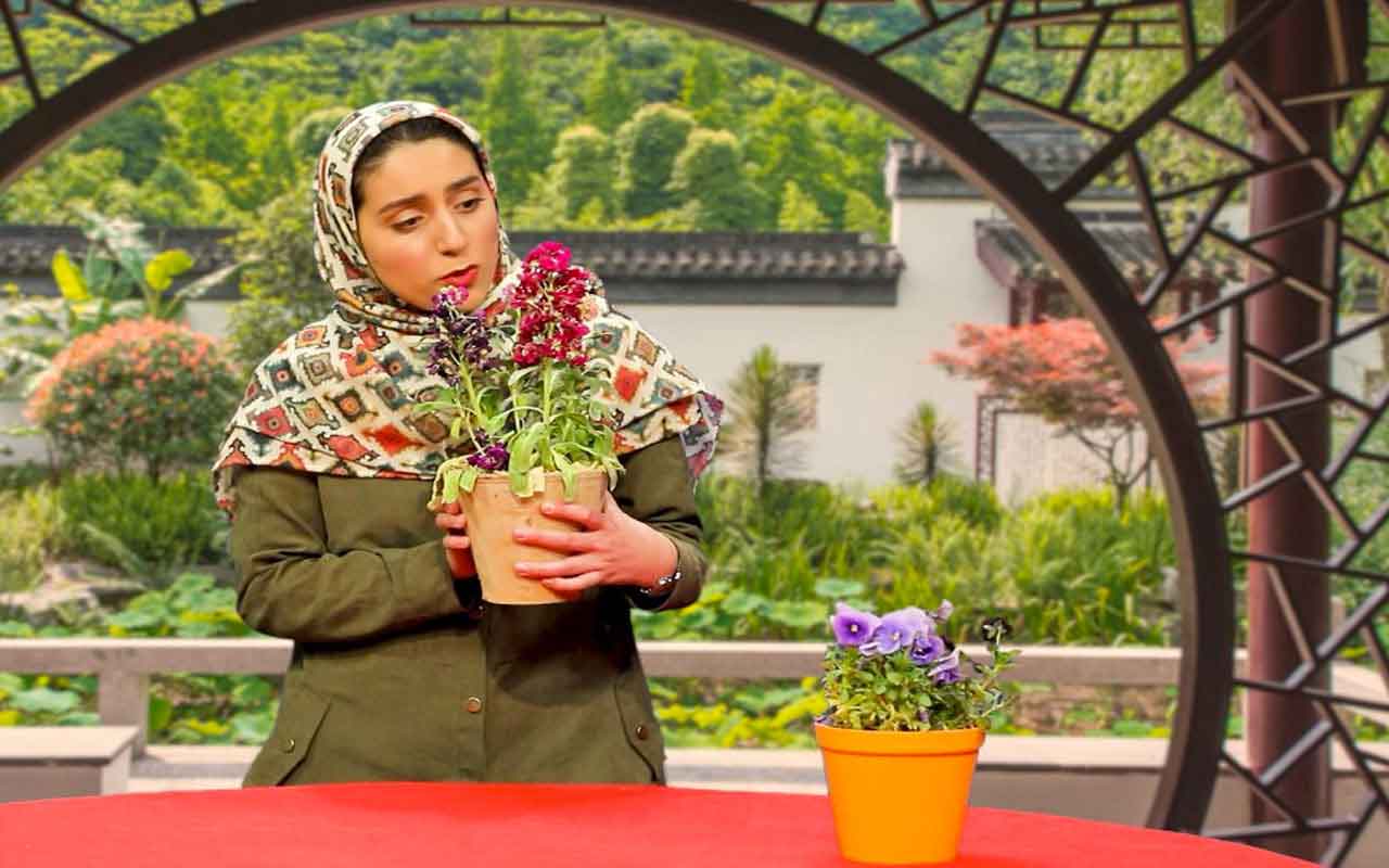 اثر نور و آب بر رشد گیاهان