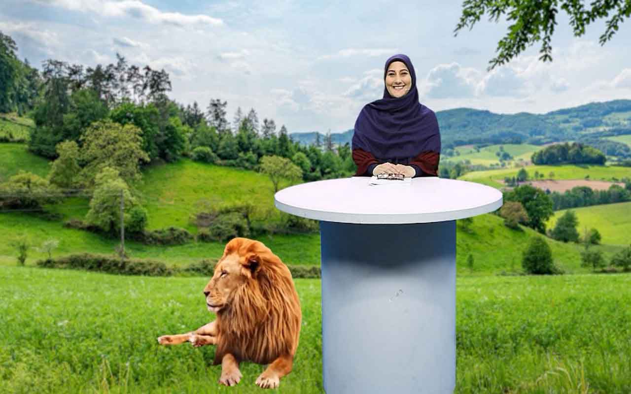 شیر و موش