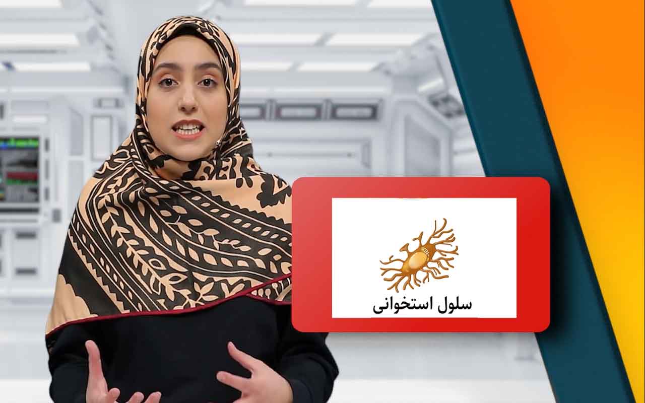 سلول