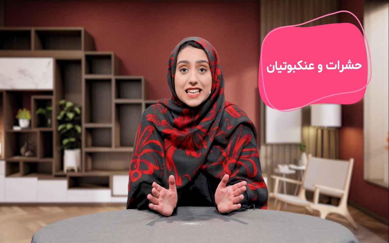 حشرات و عنکبوتیان