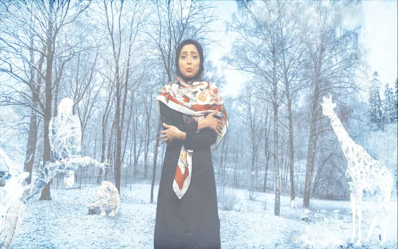 نور و گیاهان
