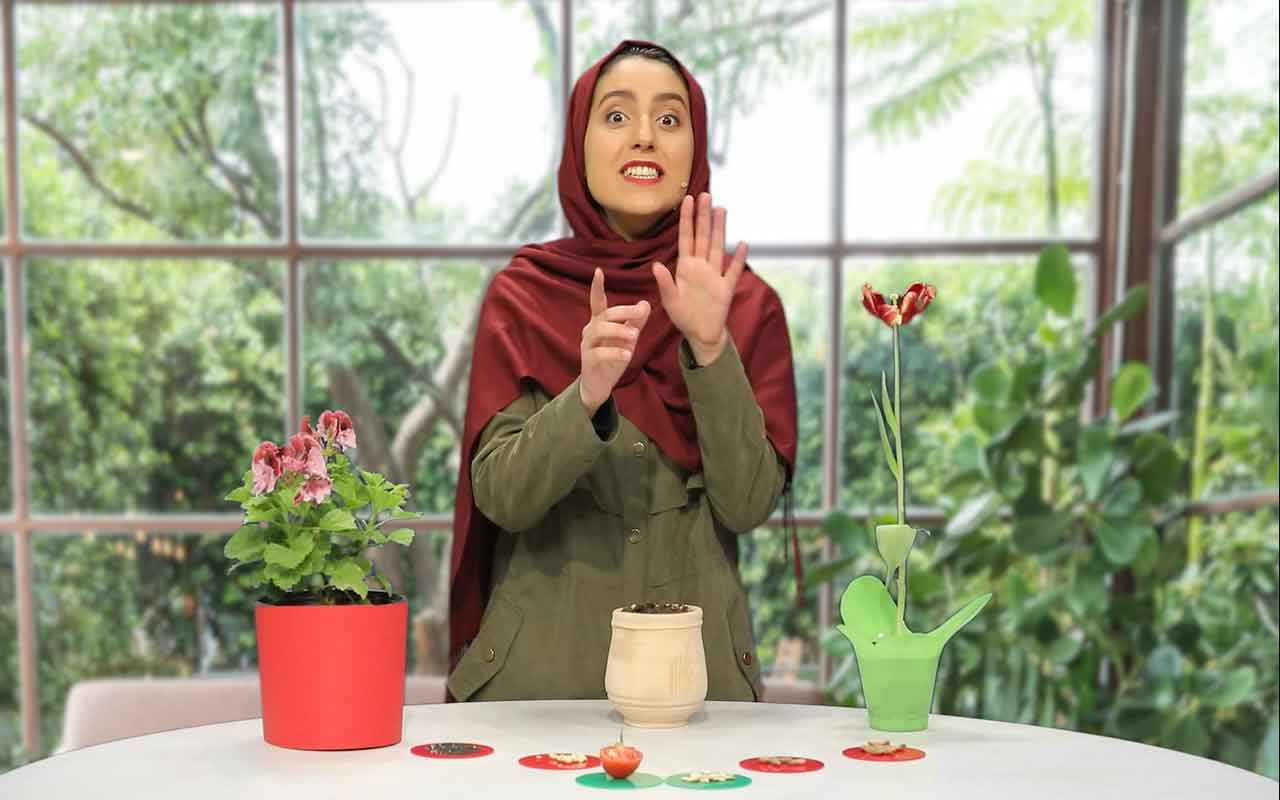 طبقهبندی گیاهان