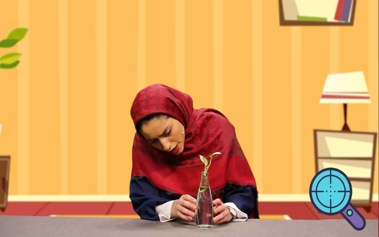 معرفی ریشه