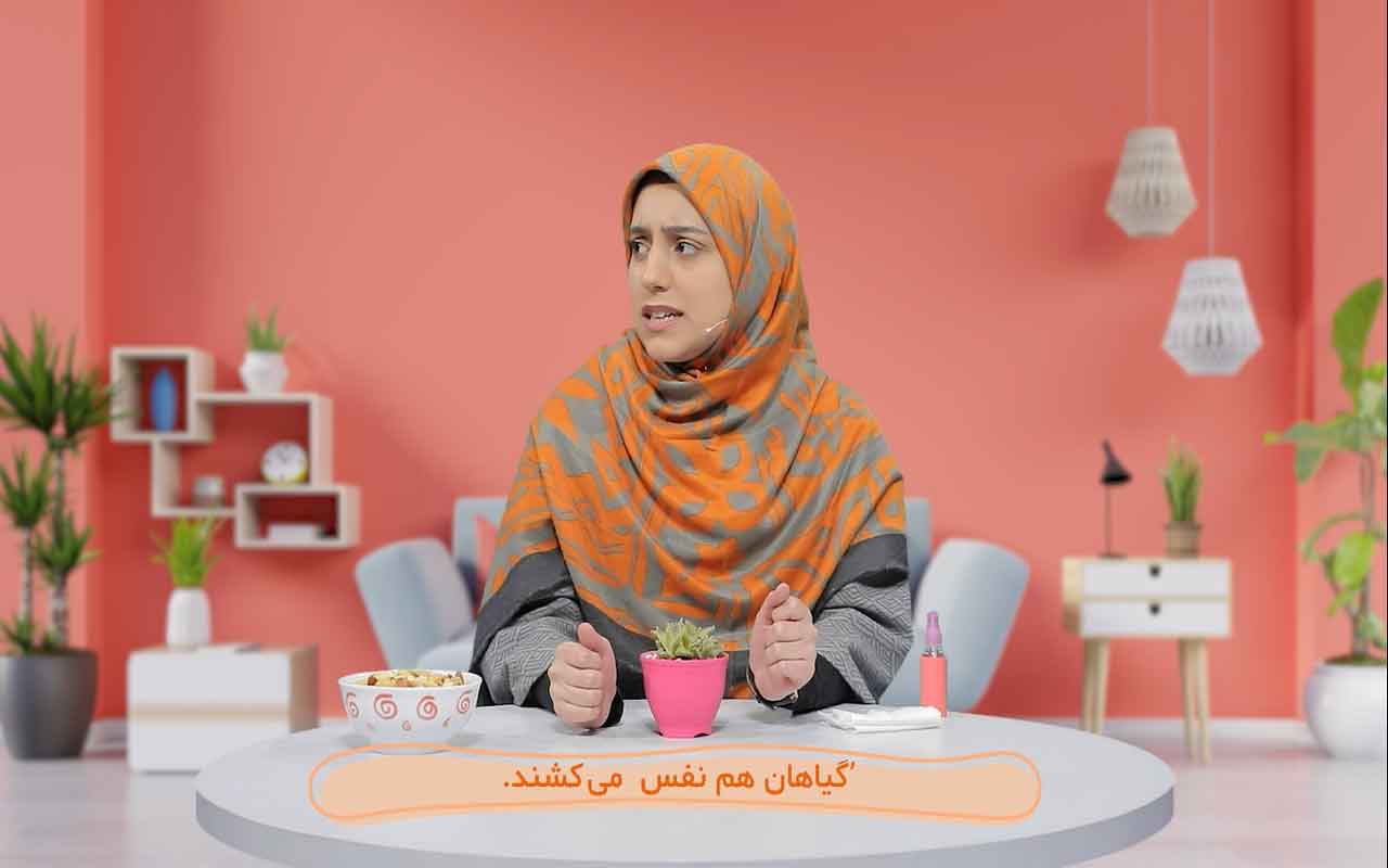 نقش کربندیاکسید در غذاسازی گیاهان