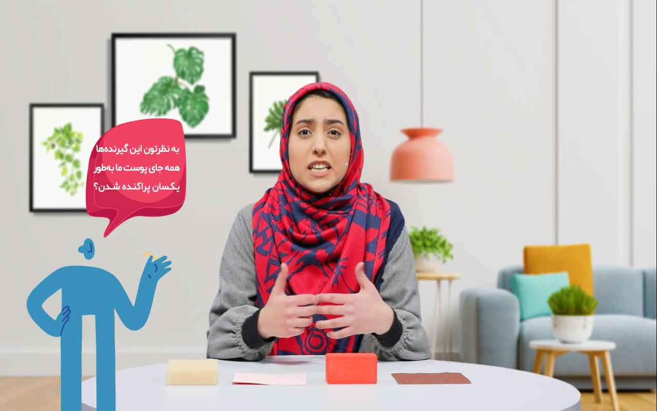 پوست و لامسه