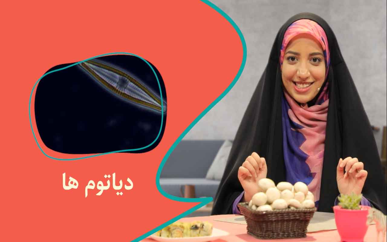 آغازیان و قارچ‌ها