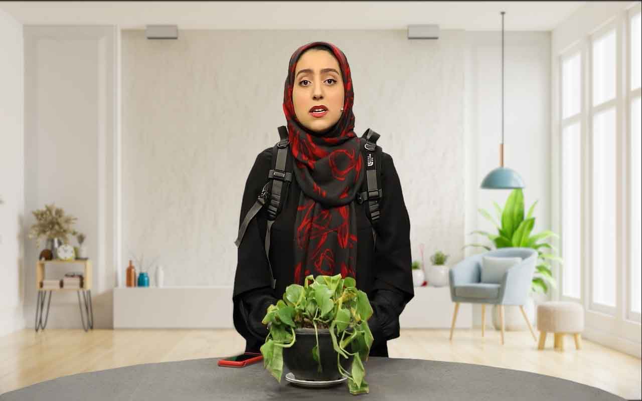 نیازهای گیاهان