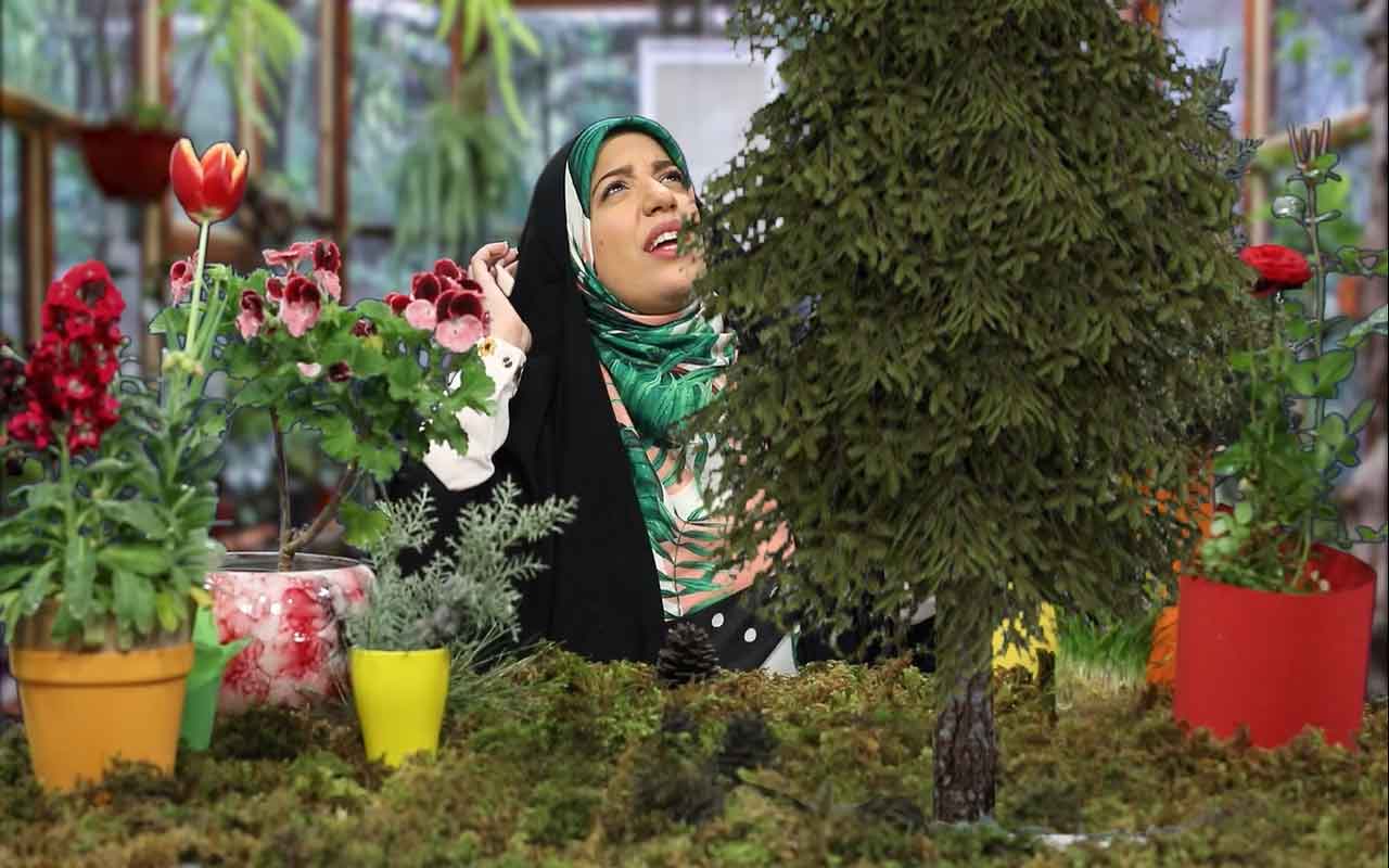 گیاهان دانه‌دار