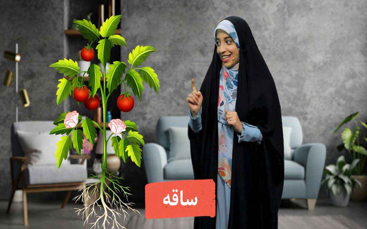 معرفی گیاهان و بخش‌های مختلف آن‌ها