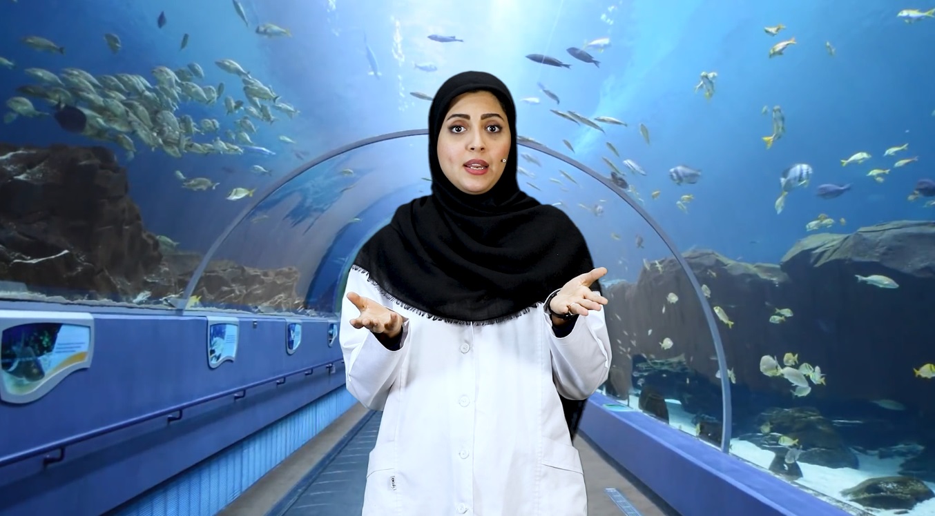 ماهیها