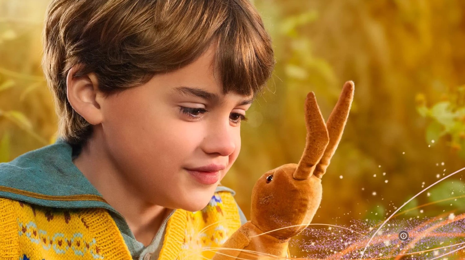 خرگوش مخملی