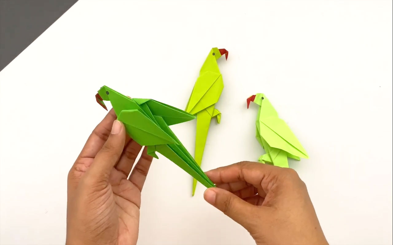 طوطی