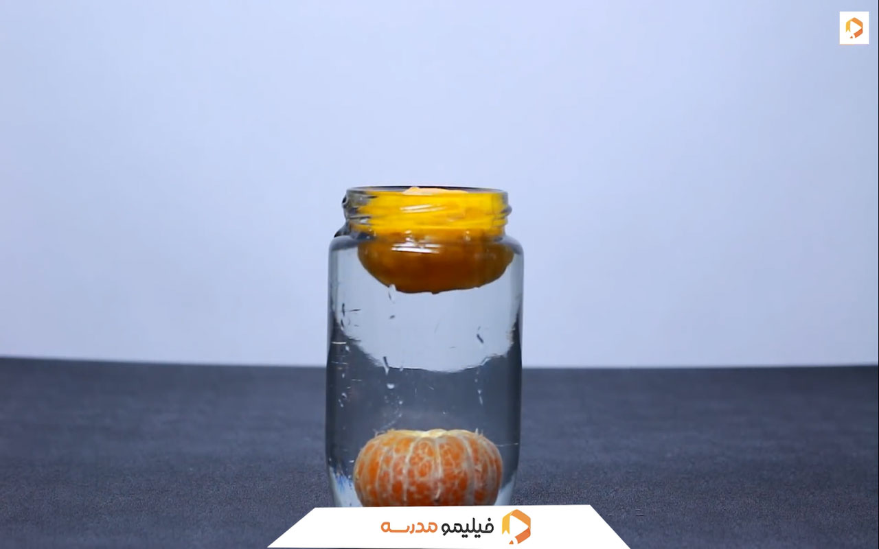 شگفتی‌های علمی