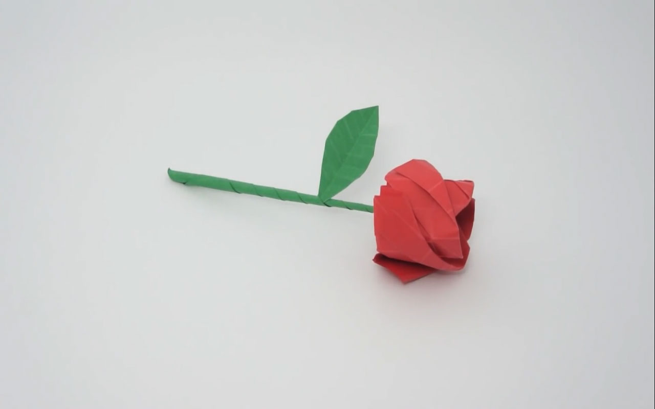 گل رز