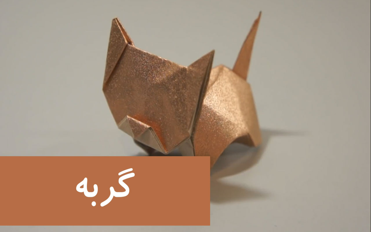 گربه