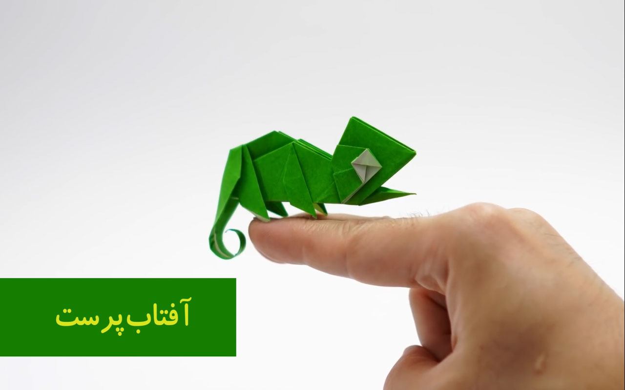 آفتاب‌پرست