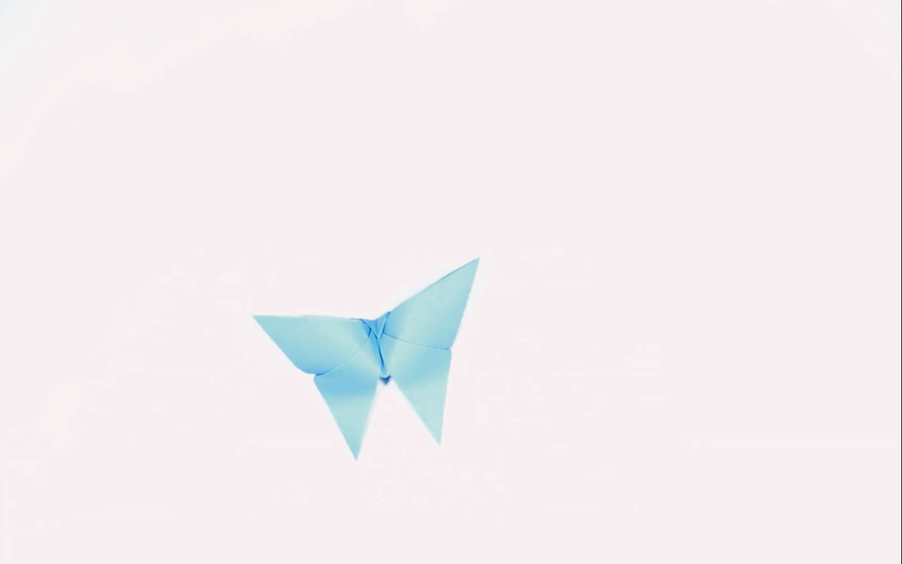 پروانه