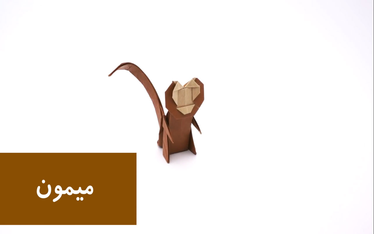 میمون