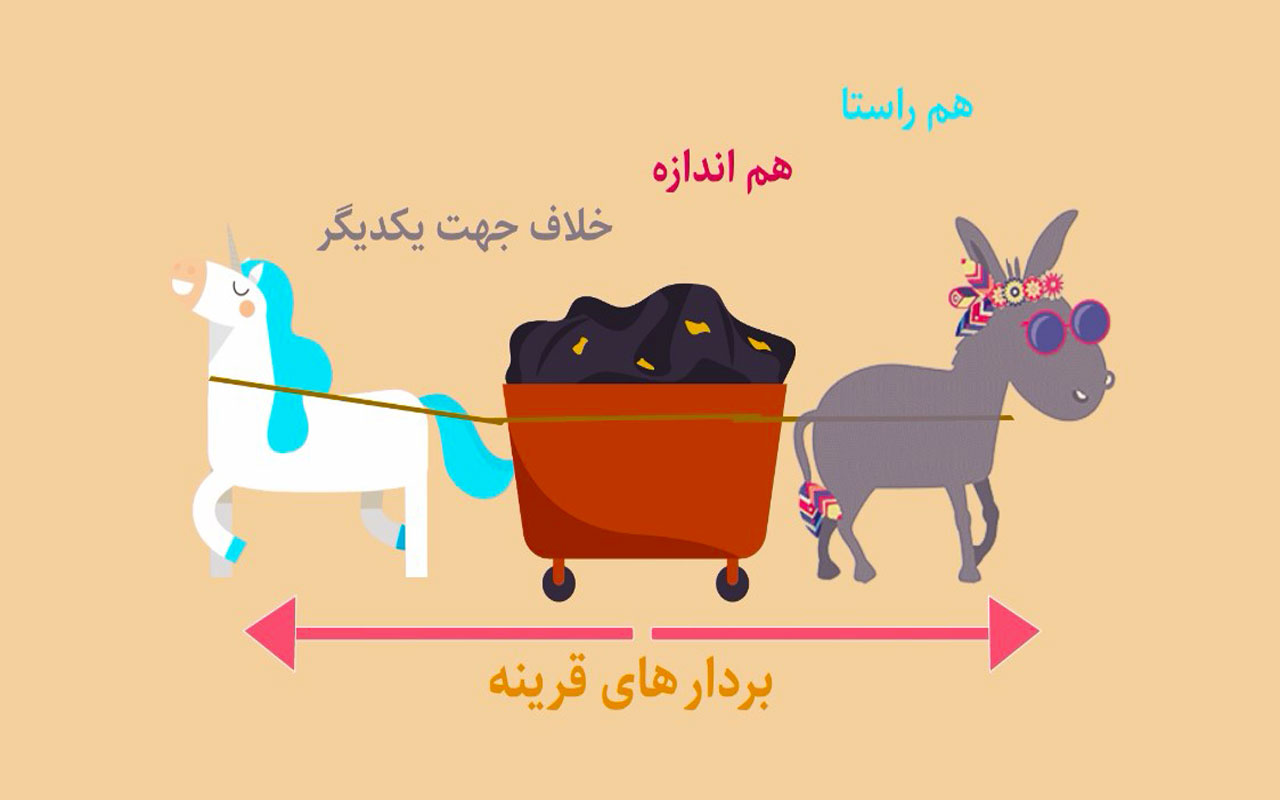 بردار، پارهخطی جهتدار