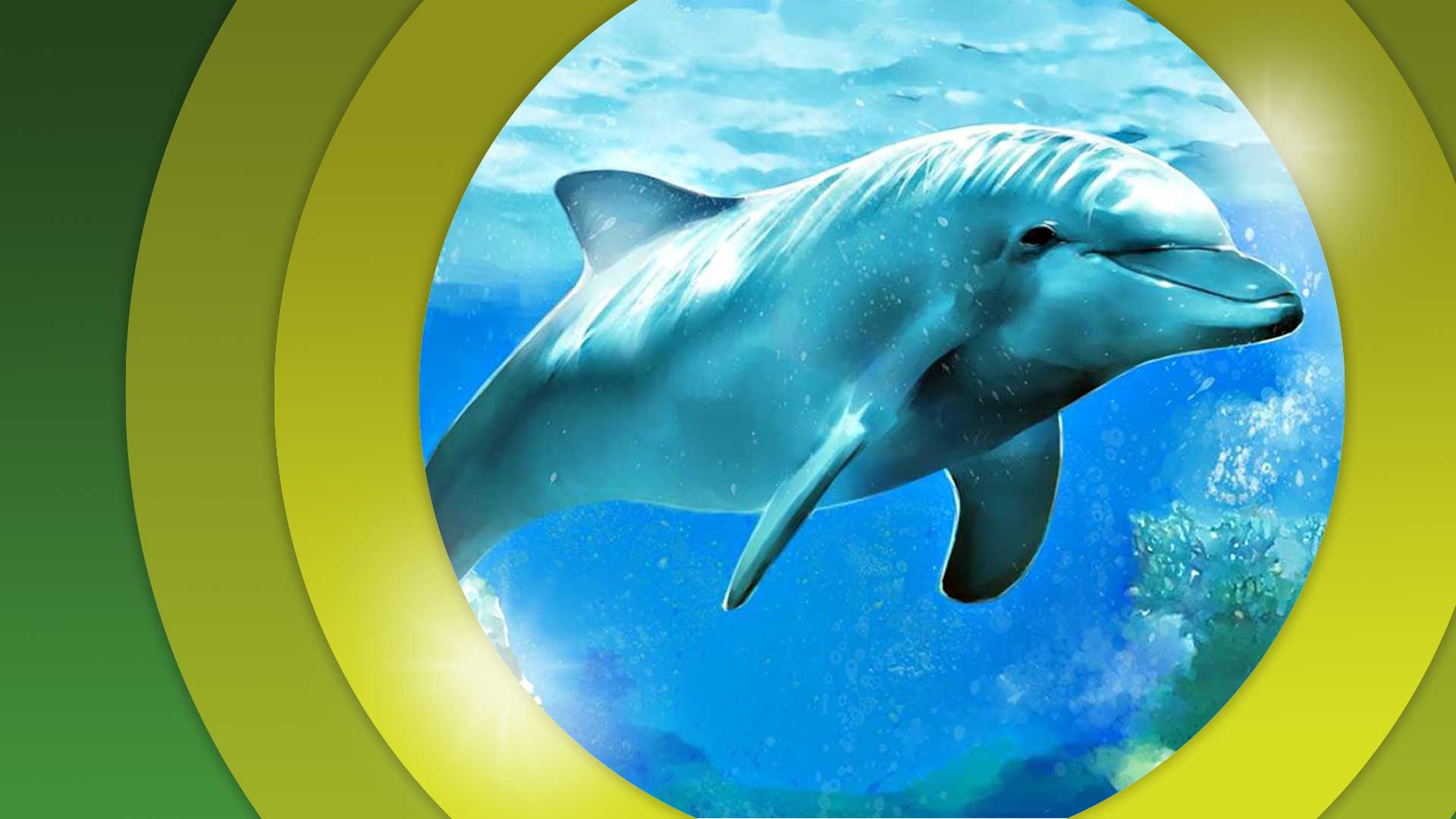 دلفین