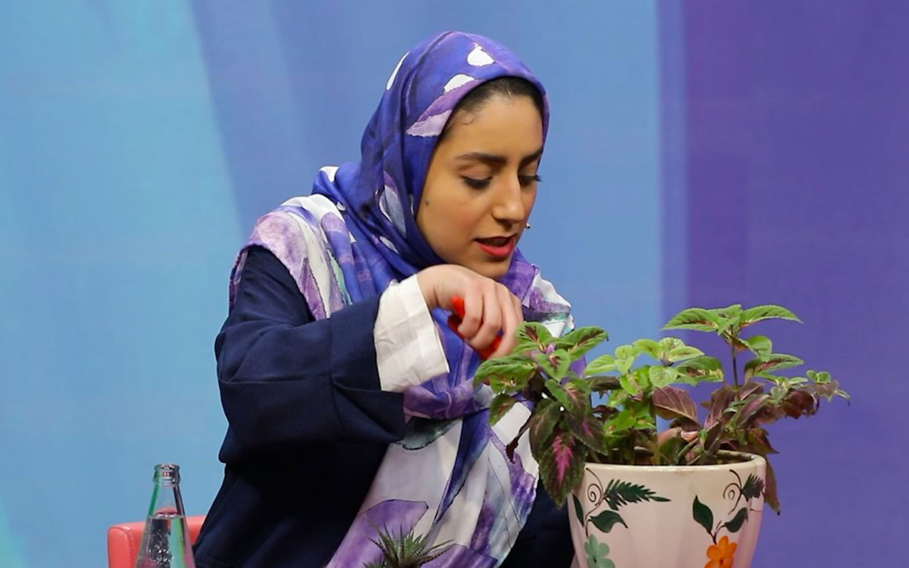 گوناگونی گیاهان