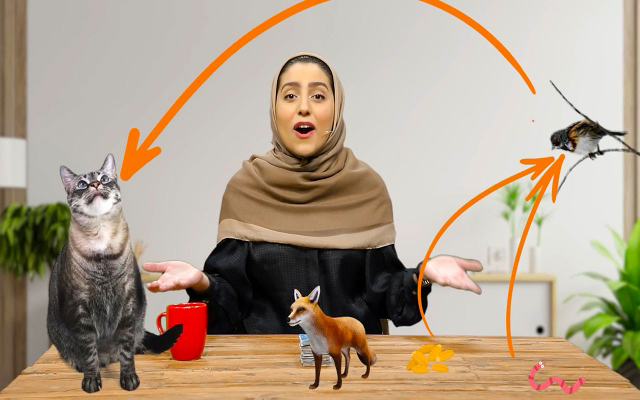 شبکهی غذایی