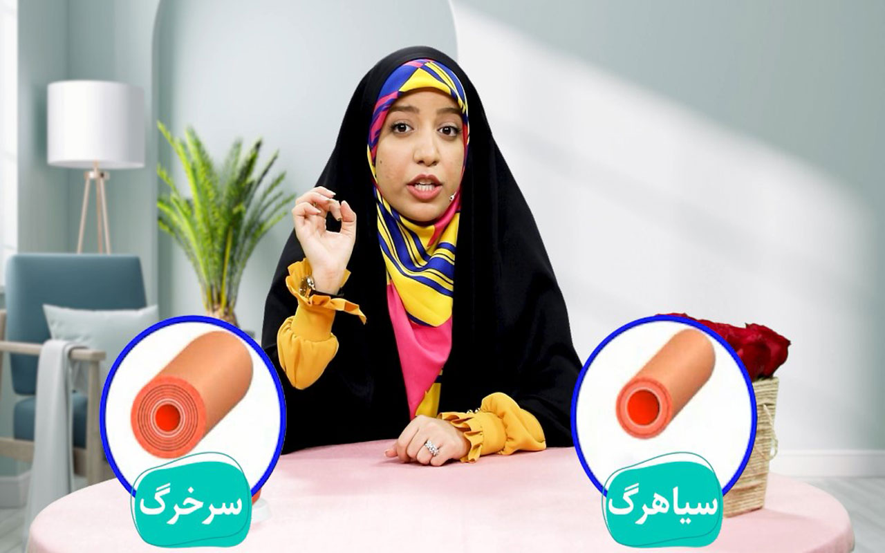 گردش خون (رگ‌ها)