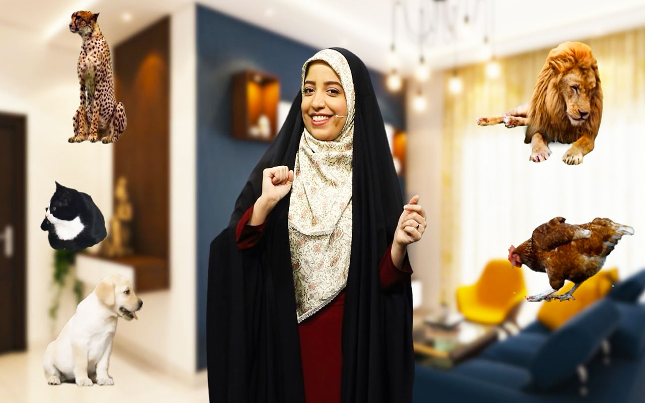 اسفنج‌ها و کیسه‌‌تنان