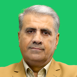 مصطفی رضایی مهر